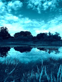 Blauer See bei Potsdam (Bild: Marc Mühleis)