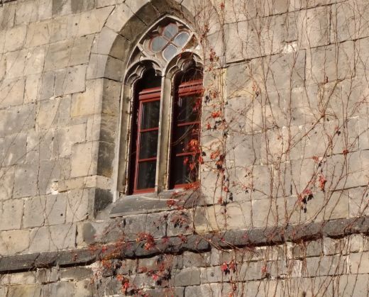 Fenster vom Halberstädter Dom