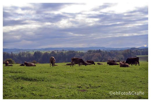 Allgäu