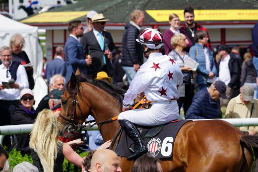 Galopprennen - Pferdewetten - Jockeys - Rennbahnen - Vollblutzucht