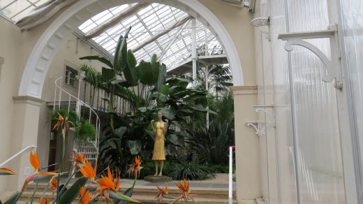 Im Palmenhaus